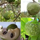 재미있는 중국어 이미지