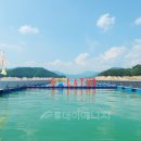 태양기획 이미지