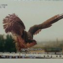 보라매 이미지