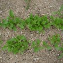 산모퉁이그곳 이미지