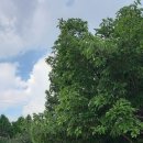 칠성초등학교 병설유치원 이미지