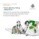 숲체험 리틀 포레스트 이미지