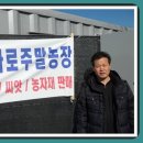 하나로농장-3 Daum카페
