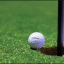 버디스크린 골프장 이미지