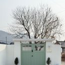 스테이 띠앗 이미지