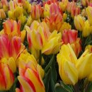 국가정원(동문) 이미지