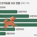고령가구 이미지