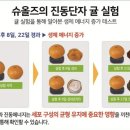 슈올즈구로 이미지