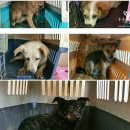 부산농장 이미지