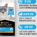 플로플랜 네이버블로그