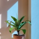 반송동266 이미지