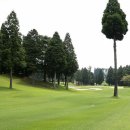 노송골프 이미지