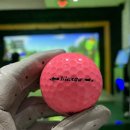 오비즈 스크린골프 이미지