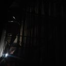 솔밭캠프 이미지