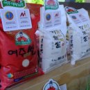 살롱드엘라
