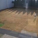 일리스테이 이미지