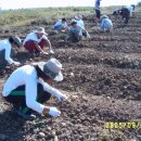 한겨레농장 이미지