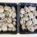 은진상회 이미지