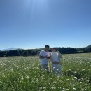 [임신 22주차🍀] 5월 3박 4일 제주 태교여행 경비 및 셀프스냅 후기