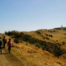 성산포사랑 이미지