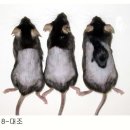 재생한의원 이미지