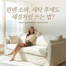 제르바소니 | 800만 원 아끼는 비결! 제르바소니 고스트 소파 30평대 신민아 거실 소파 화이트 린넨 커버링 여름철...