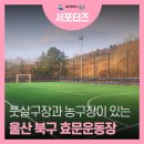 효문 풋살구장 이미지