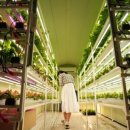 (주)바이오에이엠 이미지