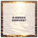 수성치과의원 이미지