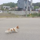 어울림공원_관리사무소주변 이미지