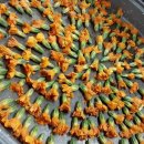 꽃차&약선차 이미지