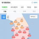 나목도식당