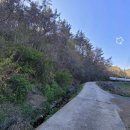 오케이부동산중개사무소 이미지