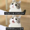 아마의 맹점 이미지