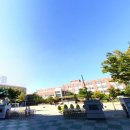 월성초등네거리 이미지