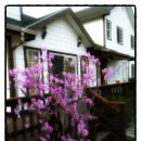 화전펜션 이미지