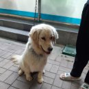 GS25풍기그랜드점 이미지