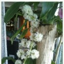 달콤하다 이미지