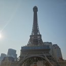 (주)마카오로 | Macau/ 마카오 파리지앵 패밀리룸, 수영장 가격 및 후기