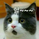 야 이미지