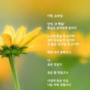 사랑방 이미지