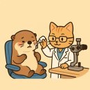 권안과의원 | 종로구 안과 26곳 진료시간, 병원리뷰