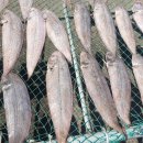 득량만건어물 이미지