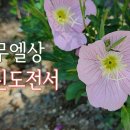 24. 8. 28(수) 사무엘상 20장, 고린도전서 2장 이미지