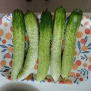 메리골드작은도서관 | 여주 전원주택 마당 꾸미기, 토분인형, 텃밭 가꾸기, 건강한 밥상까지~