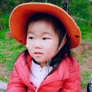 엘림선교어린이집 이미지