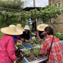 행복한 은혜농장 이미지