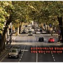 패밀리 앤 메디칼 행정사사무소