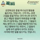콩깍지 이미지