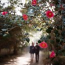 3/21~22 동백향따라 비렁길따라 &#34;금오도비렁길&#34;,오동도 동백숲,여수랜드,이순신광장,여수해상케이블카,봉산게장거리 이미지